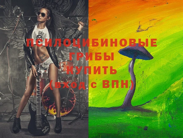 мдпв Ростов