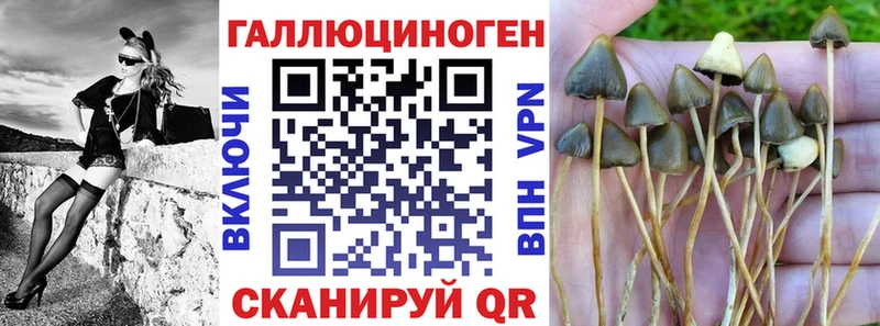 Купить  Лакинск  Галлюциногенные грибы MAGIC MUSHROOMS 